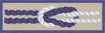 International Scouter Award emblem