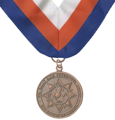 STEM Supernova Award medal