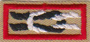 Whitney M. Young Award knot